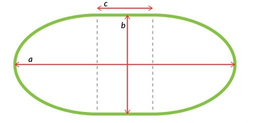 tischfolie oval