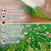 Durchsichtige Tischdecke transparent Tischschutzfolie Tischfolie Klar 0,15mm mit Muster Exotik – 100x140cm, Schnittkante