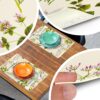Platzsets Tischset Platzdeckchen abwaschbar Tischuntersetzer PVC hitzebeständig Botanica 35x50cm