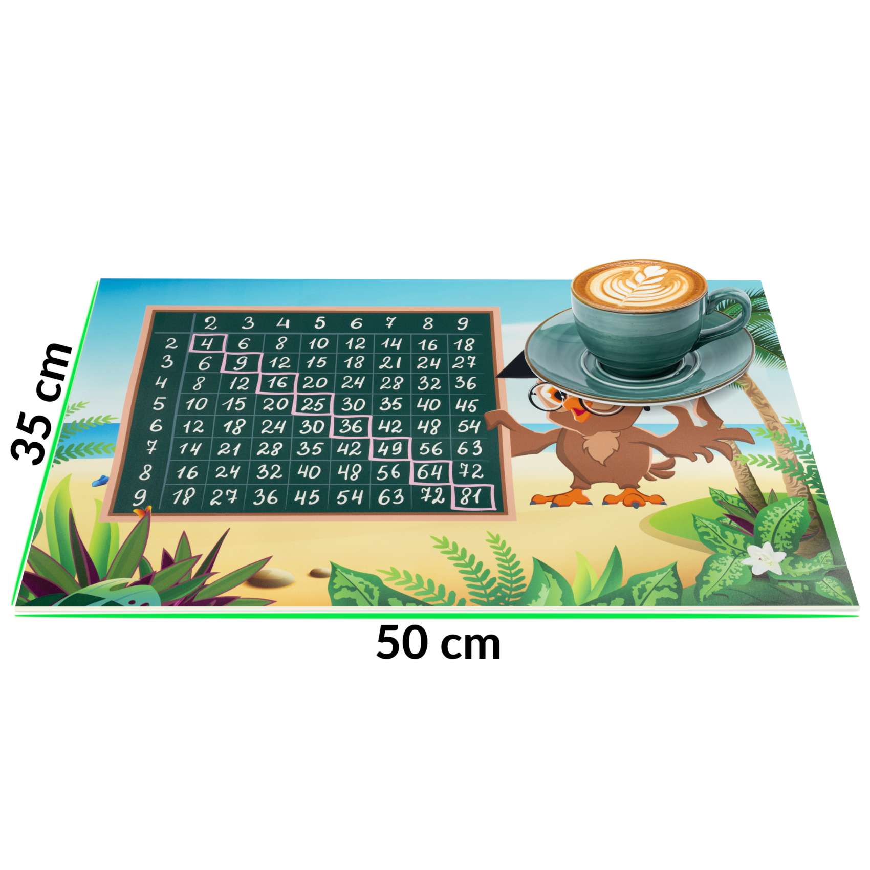 Qualitäts-Tischsets aus PVC – Robust und Pflegeleicht | Einmaleins 35x50cm