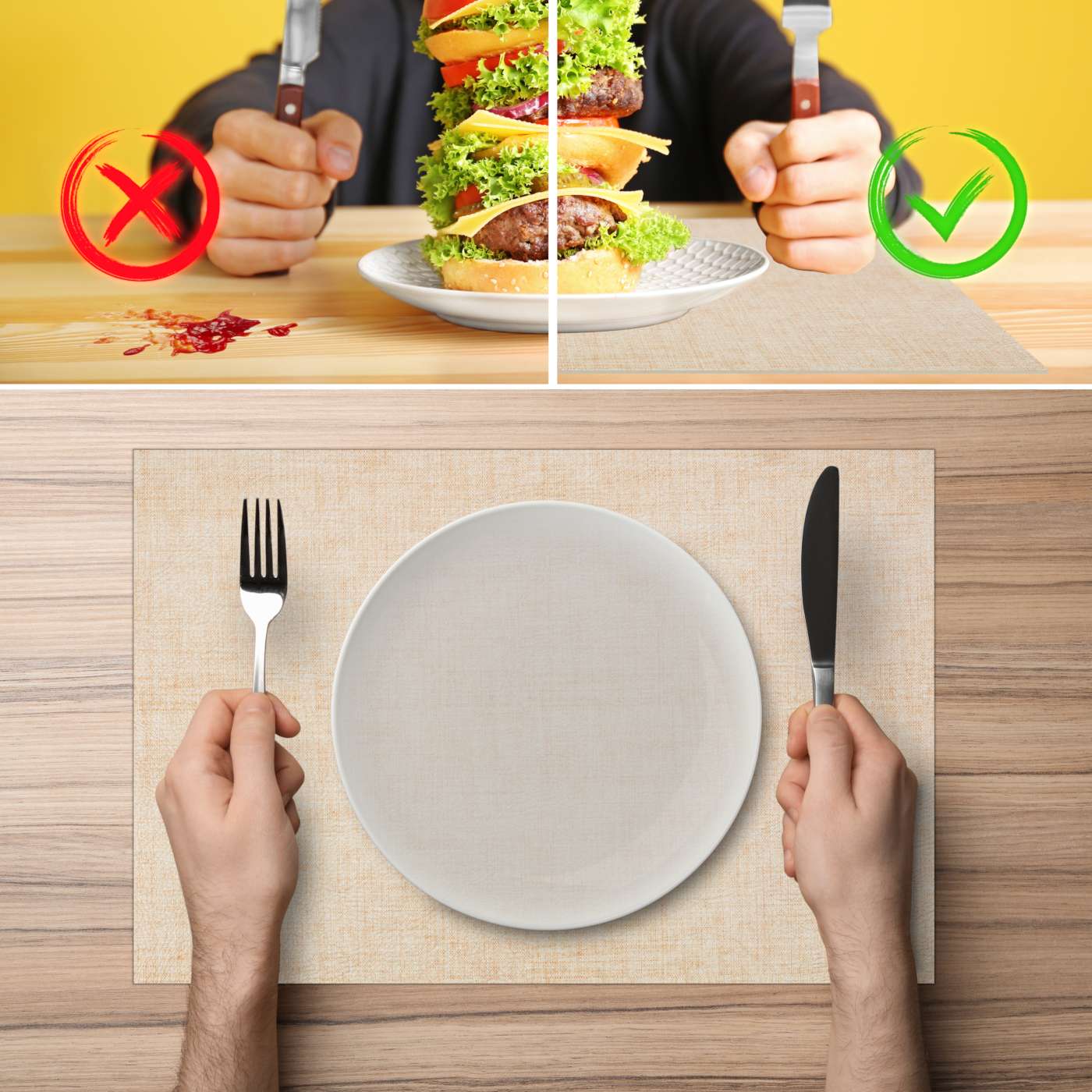 TTPL4863_80 TTPL4863_80